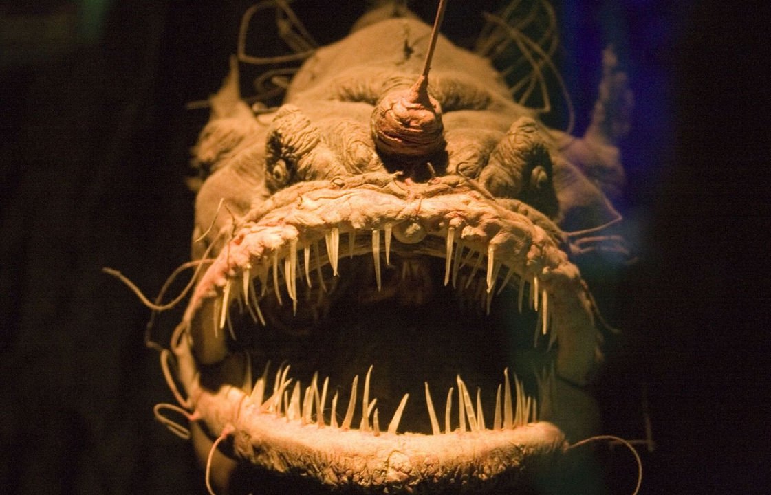 Глубоководный удильщик