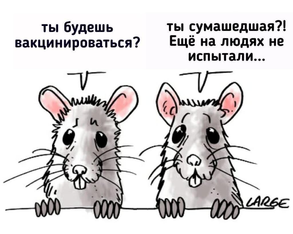 Вакцина прикол