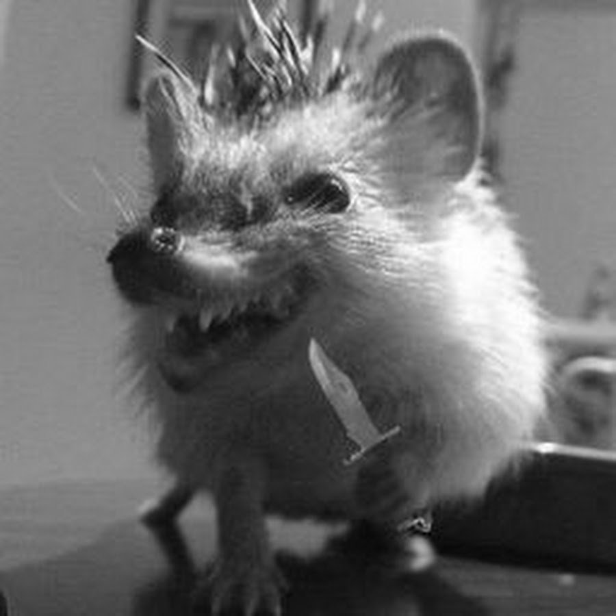 Страшный Ежик