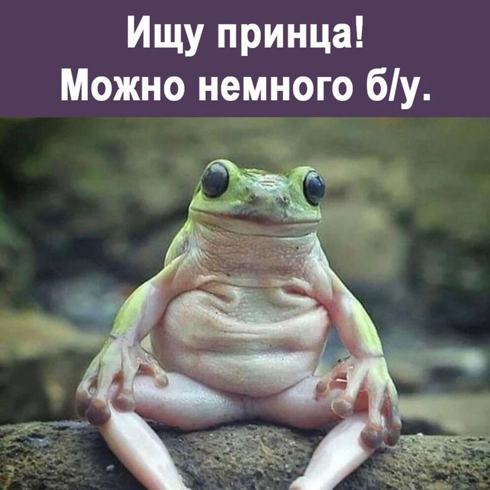 Прикольные лягушки с надписями