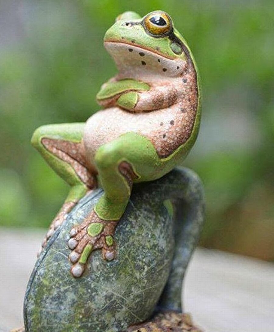 Лягушка сидящая