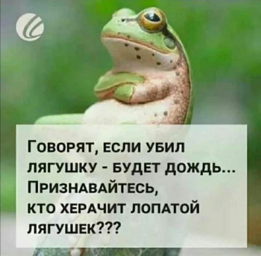 Шутки про лягушек