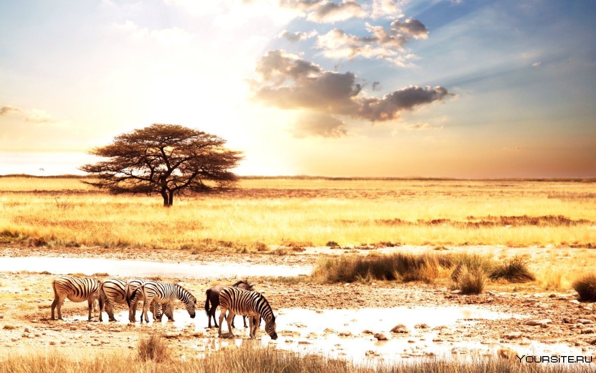 Намибия Саванна