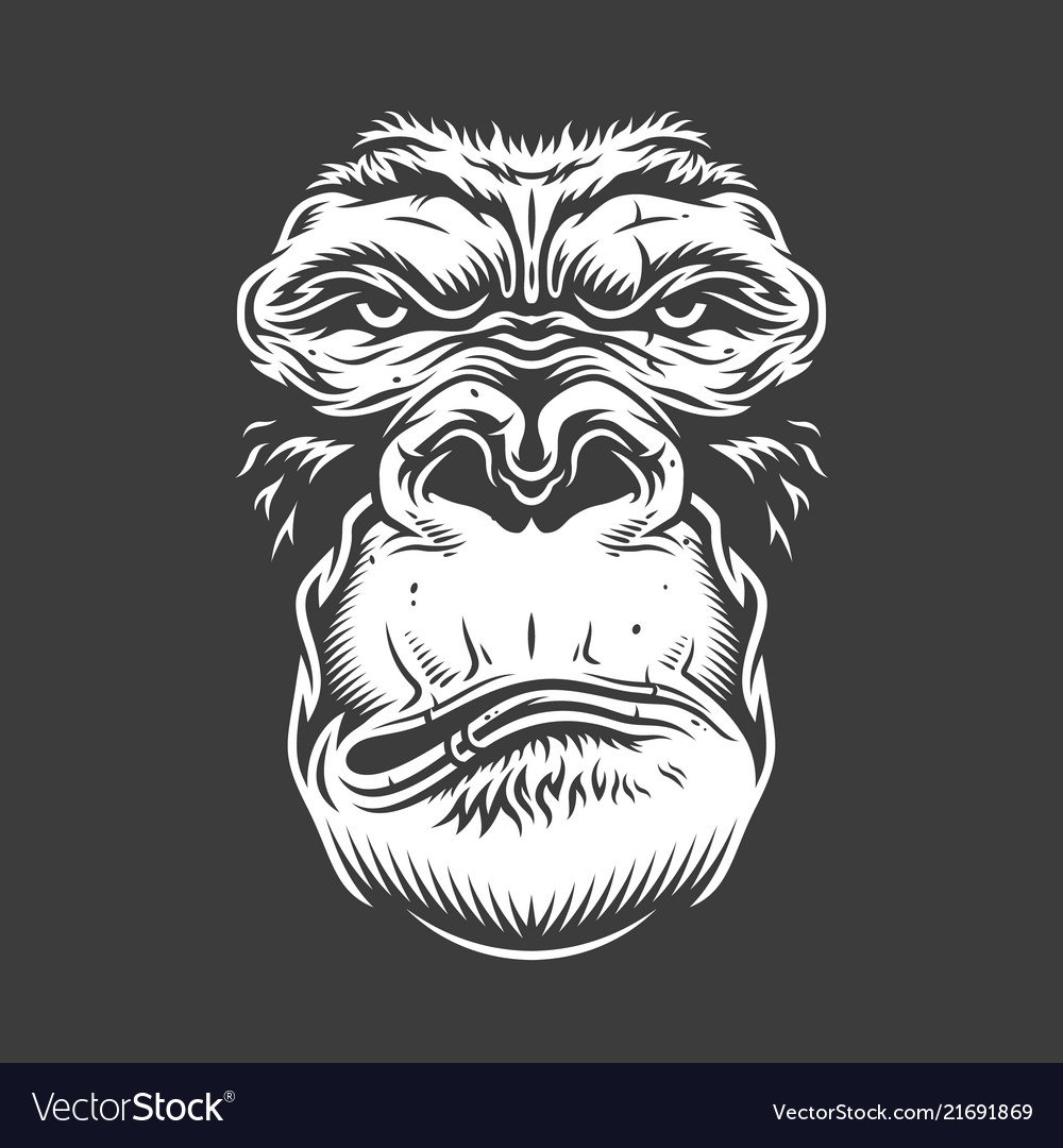 Горилла вектор