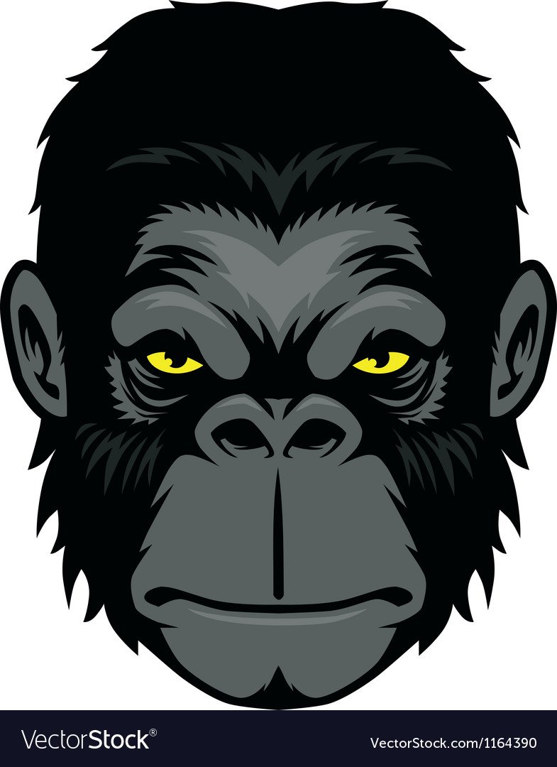 Голова примата