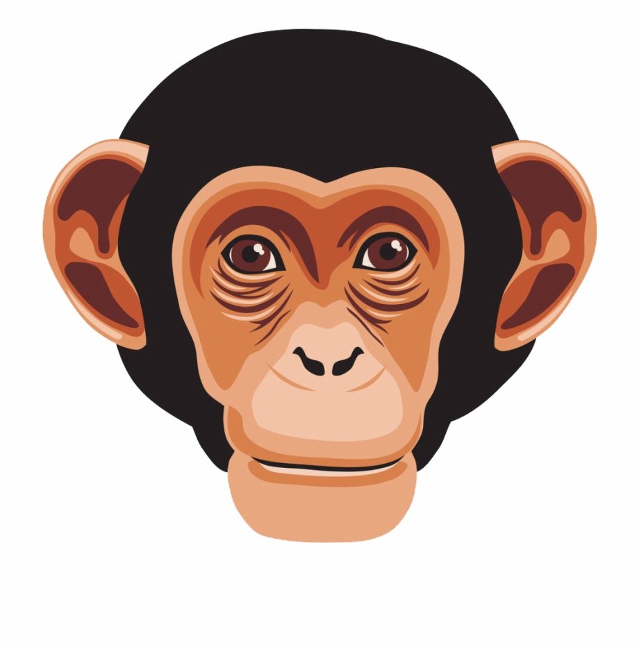 Морда обезьяны