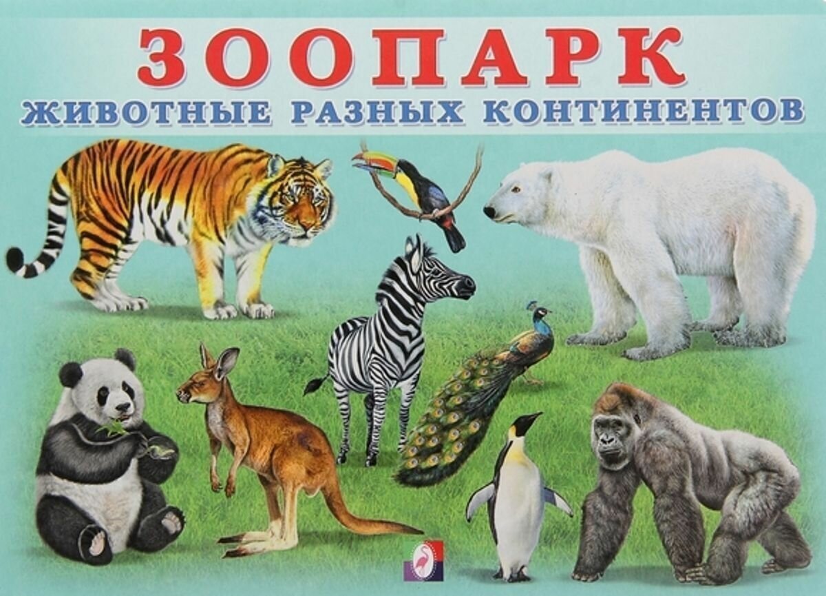 Зоопарк животные разных континентов