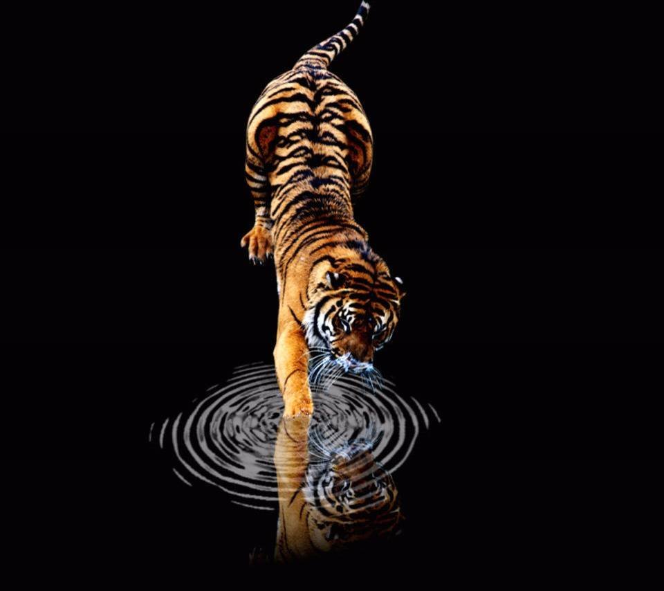 Тигр на золотом фоне