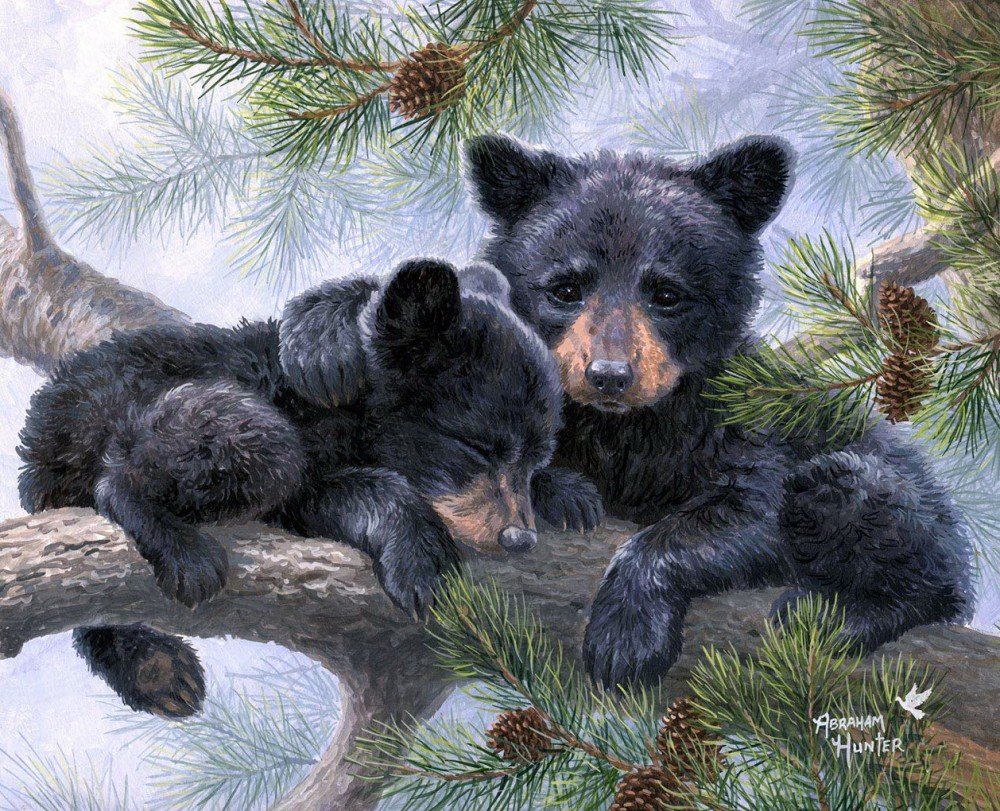 Картина медведь