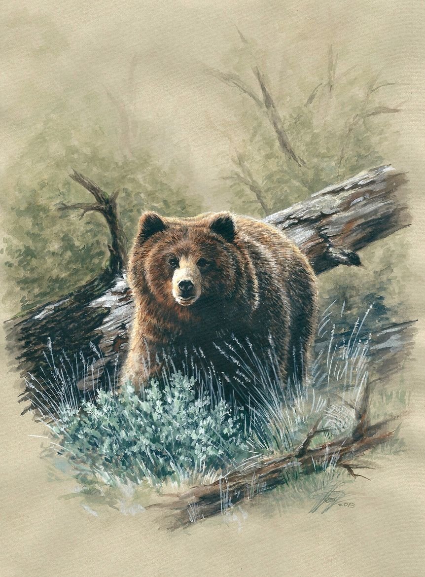 Художник Данчурова