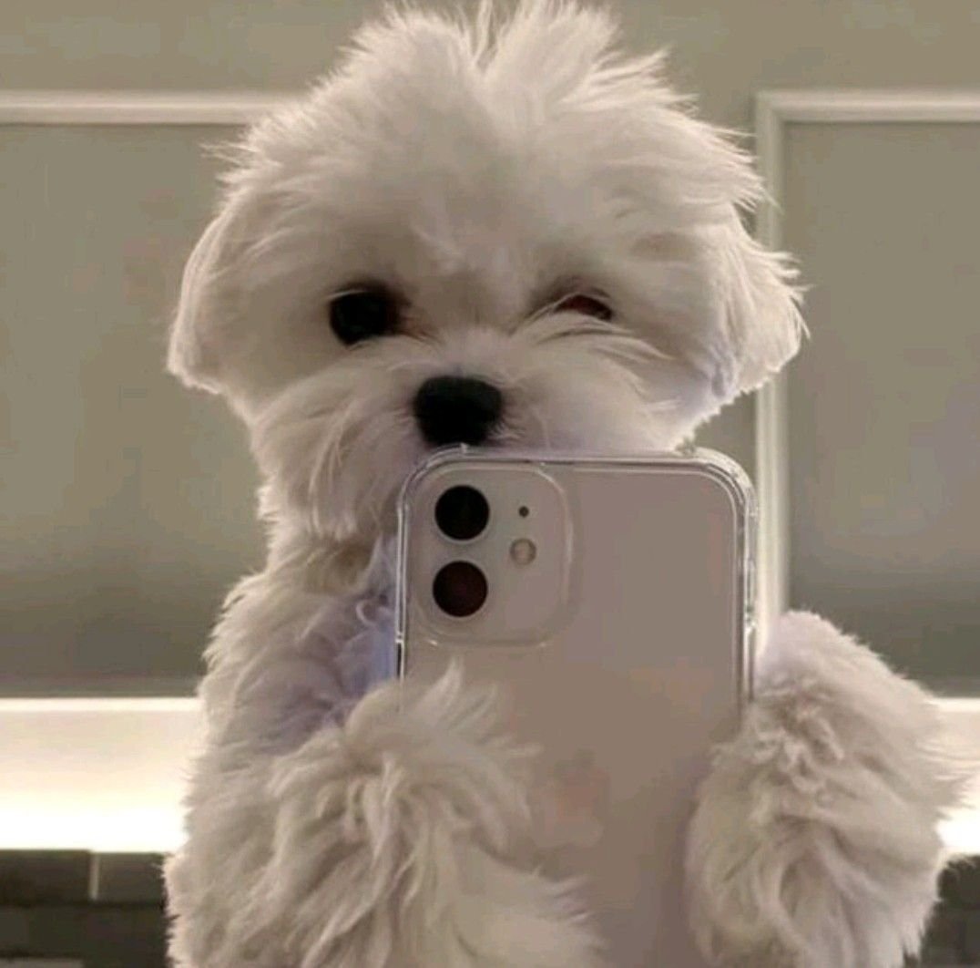 Сорохон Ташбекова