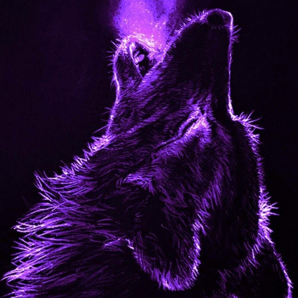 Фиолетовый волк