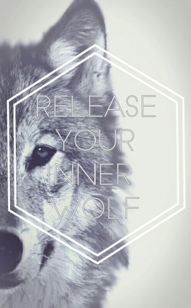 Волки на айфон