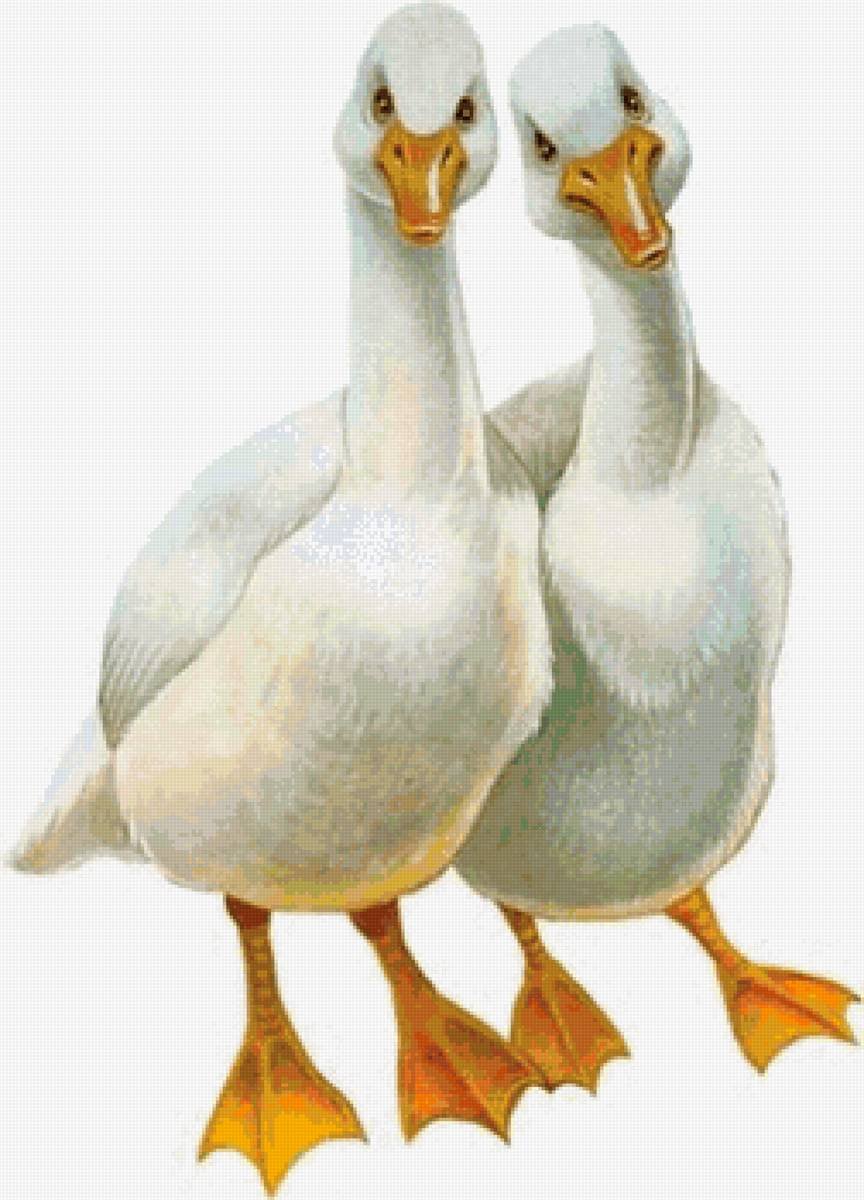 Фон с гусями