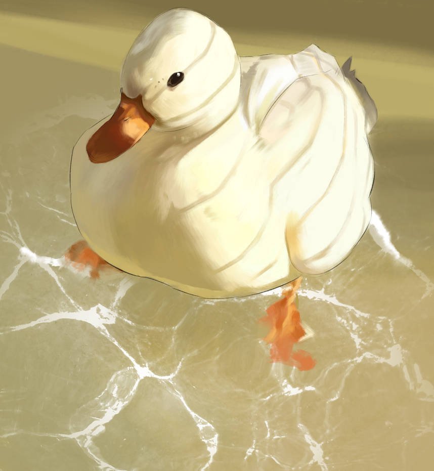 Уточка Эстетика