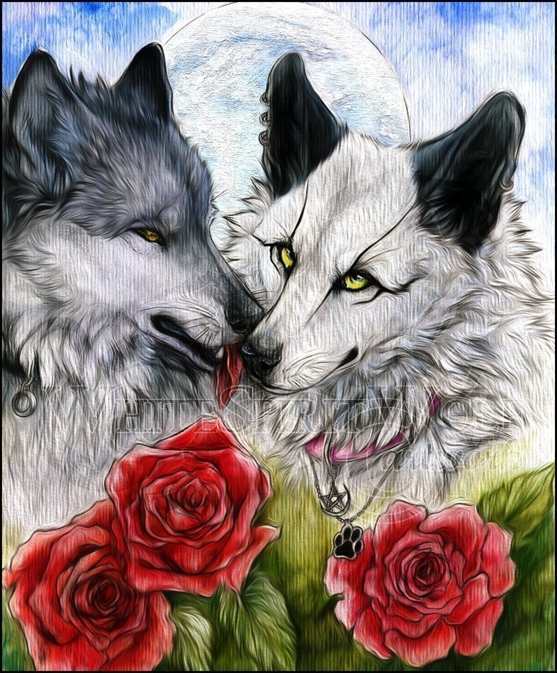 Влюбленные волки