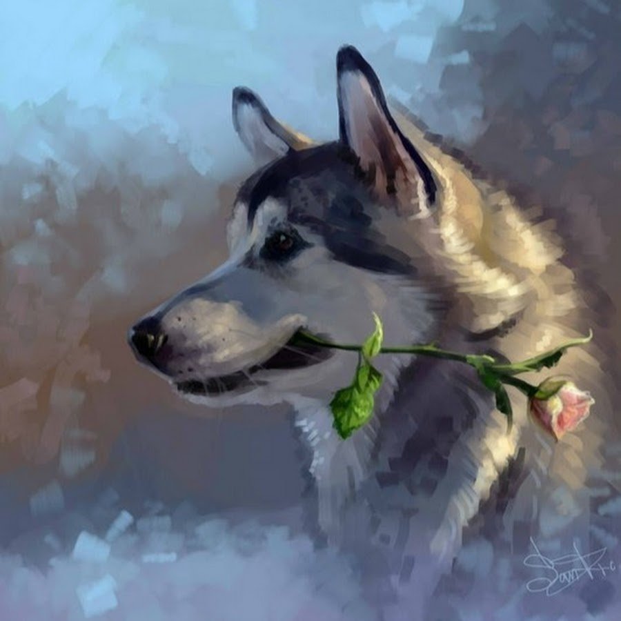 Хаски с розой