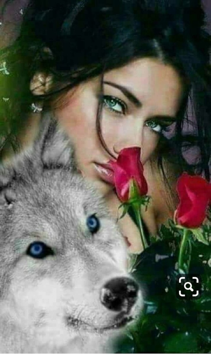 Волк с розой