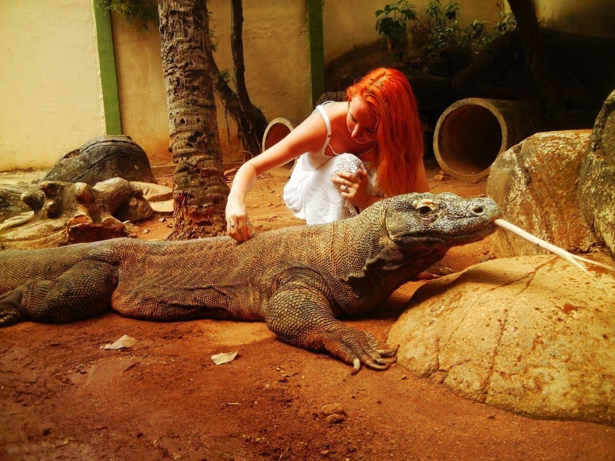 Гигантские рептилии