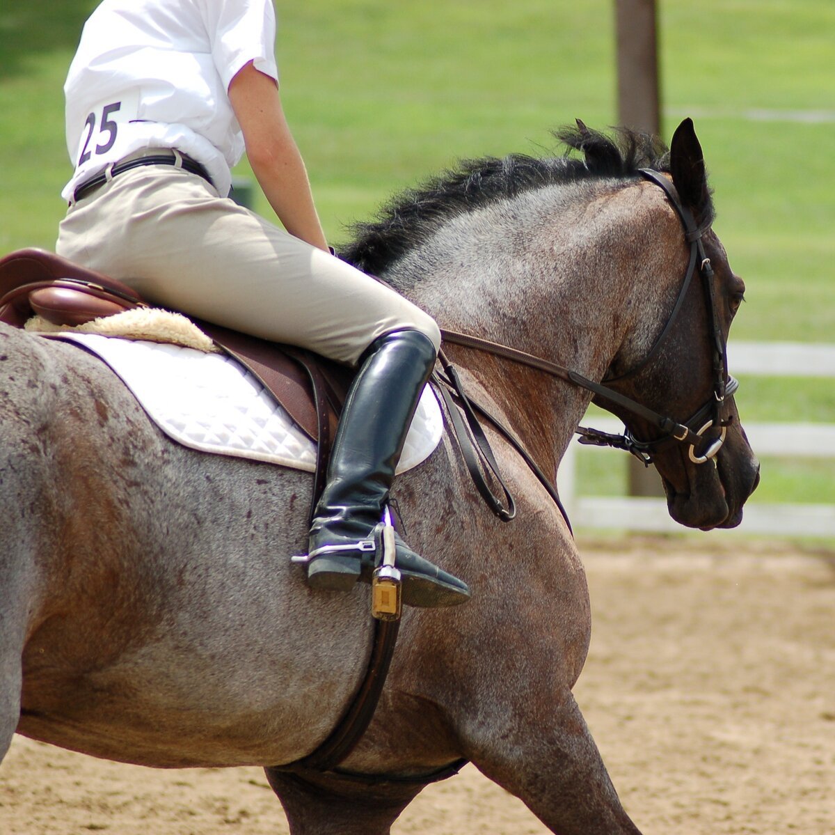 Деловая лошадь