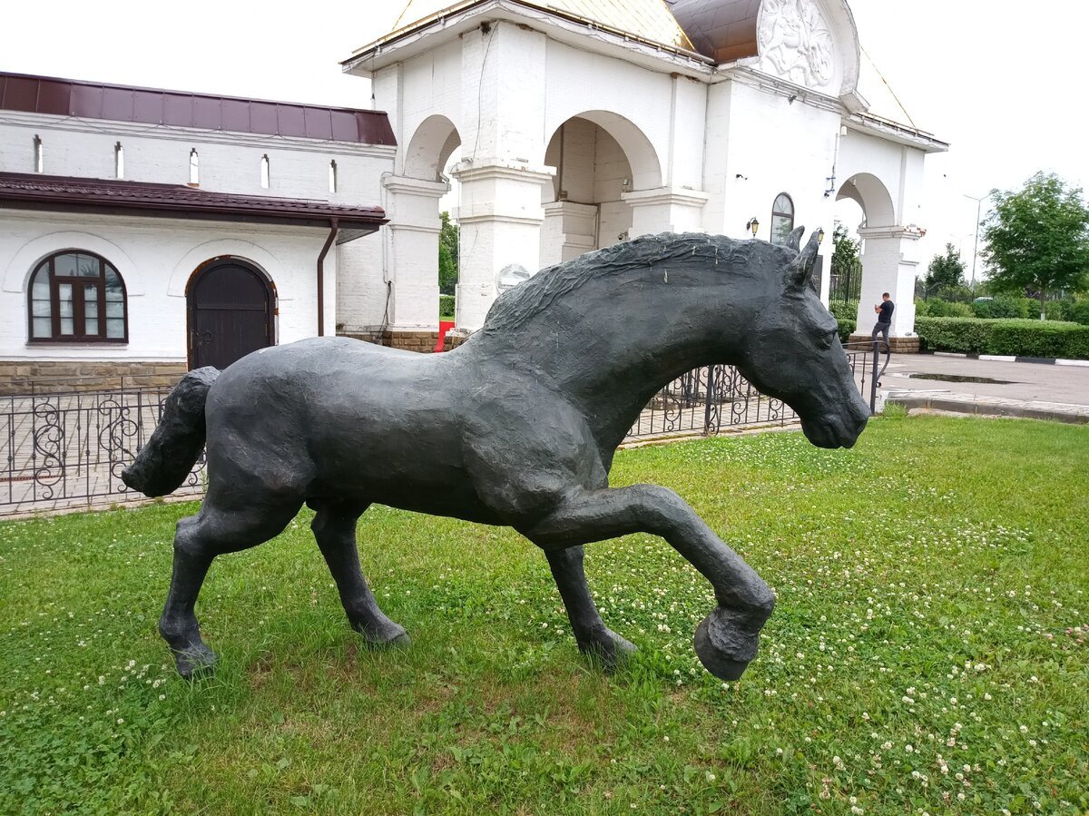 Лошади в парковые