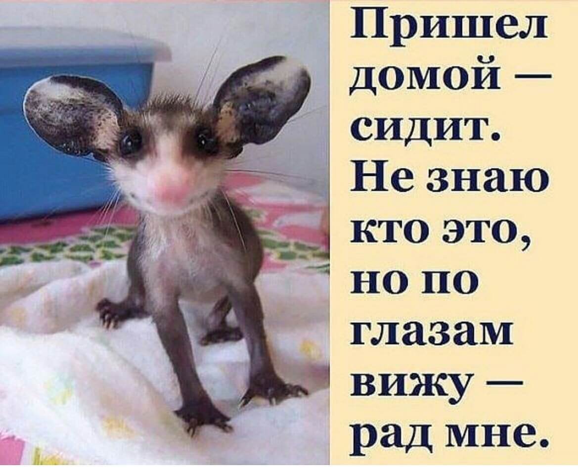 По глазам вижу рад мне