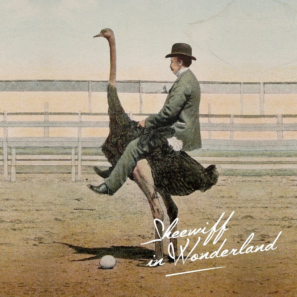 Девушка верхом на страусе