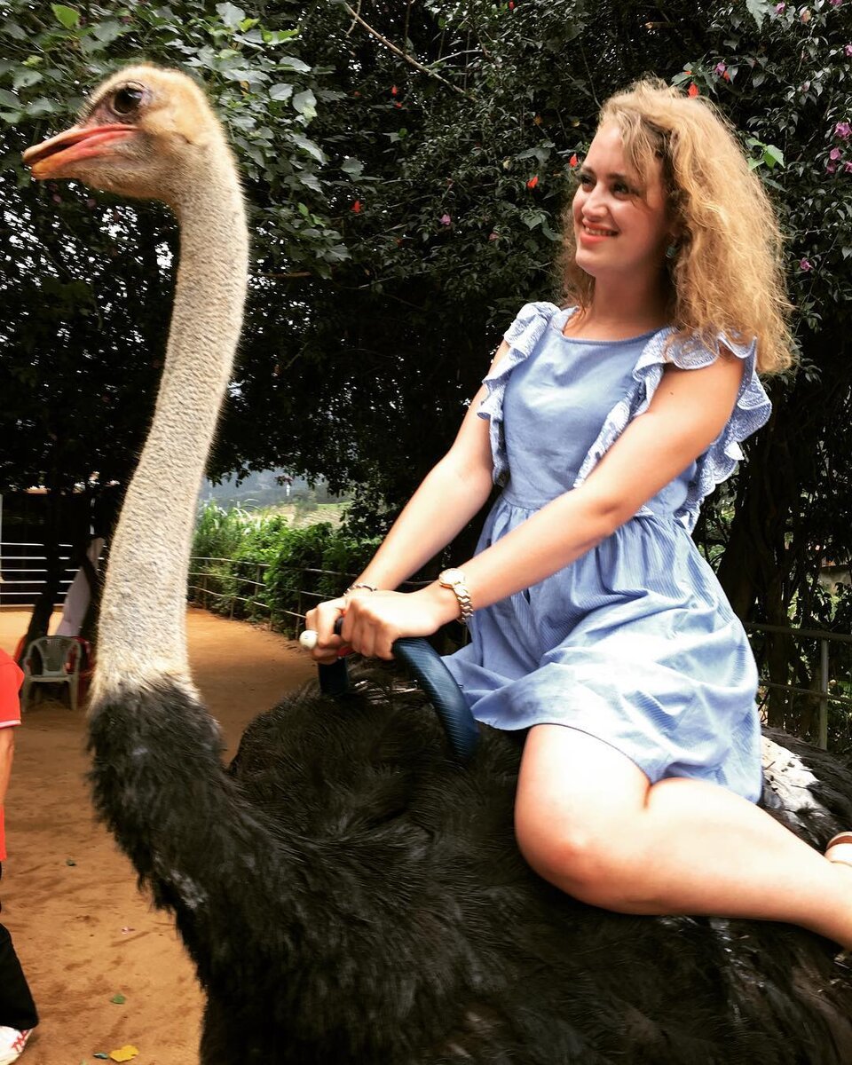 Страусёнок Оливия