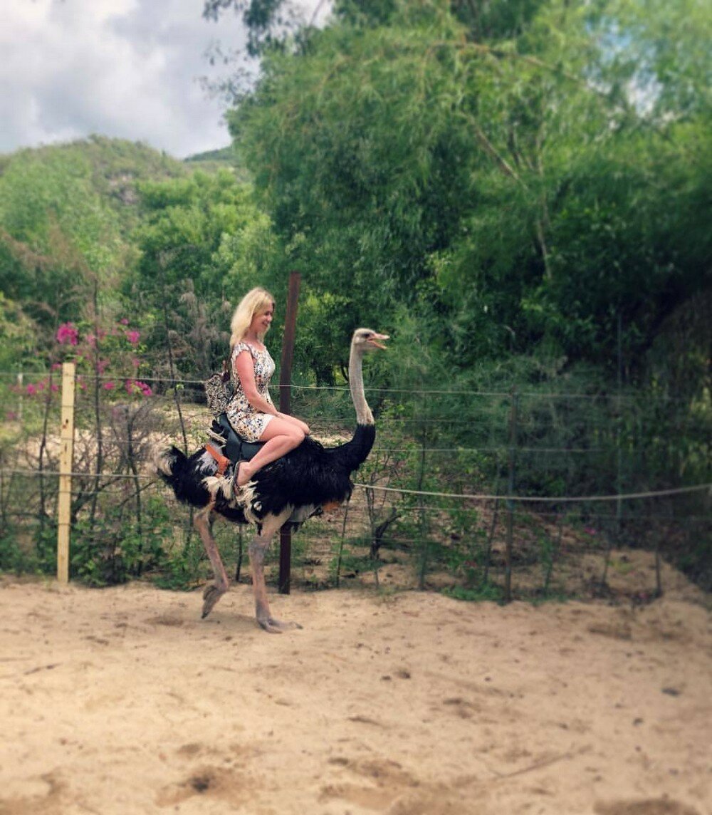 Девушка на страусе