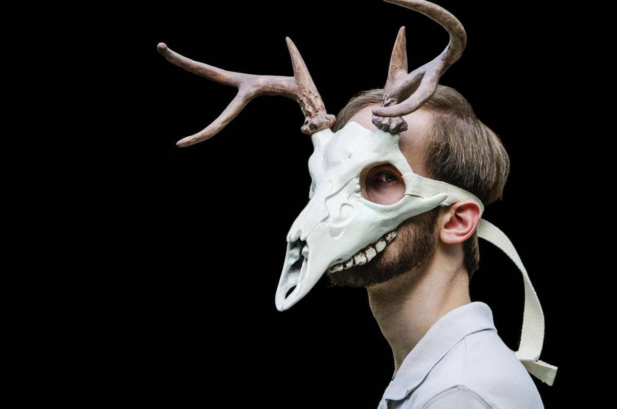 Череп оленя