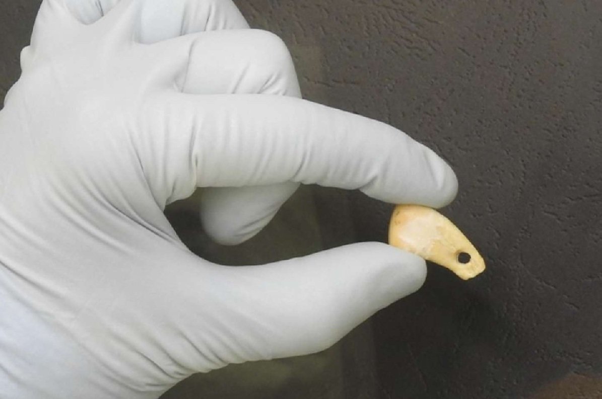 Генетический камень