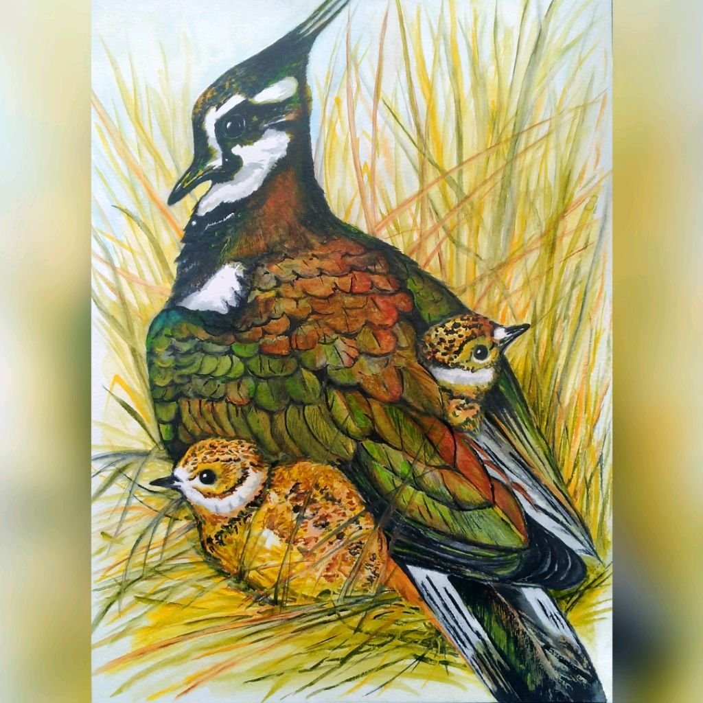 Гнездо Чибиса