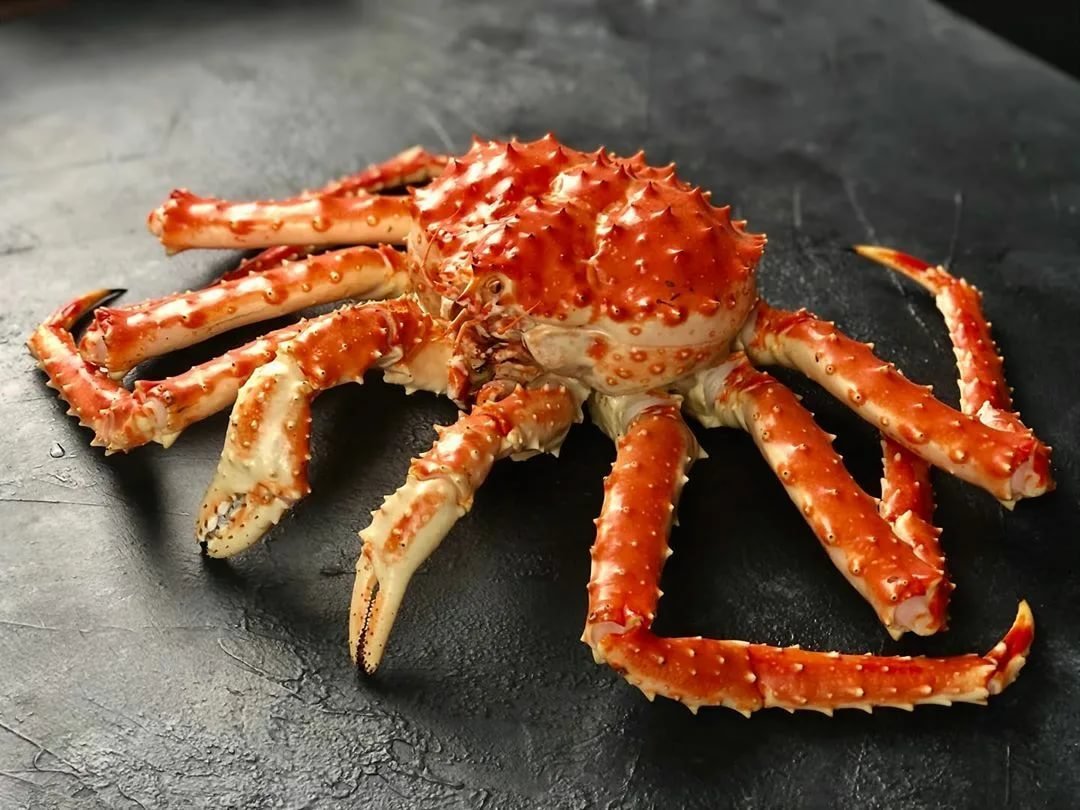 Тасманский Королевский краб