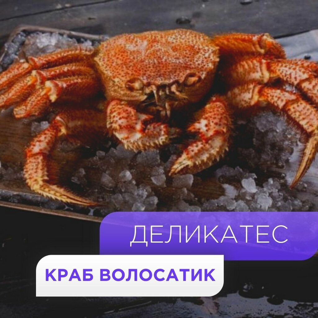 Краб волосатик и Камчатский краб