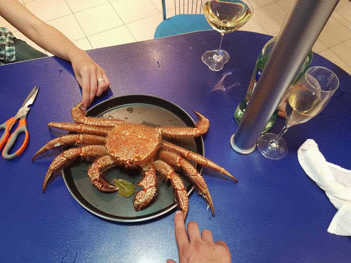 Краб волосатик