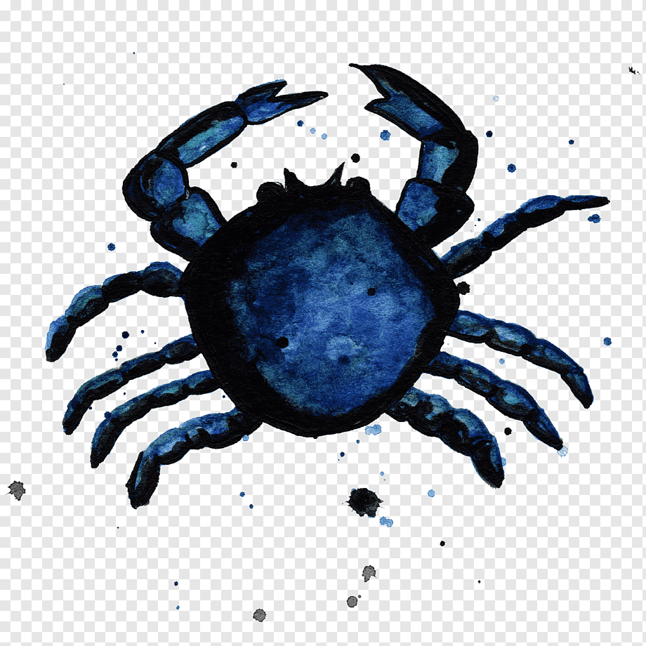 Синий краб маленький