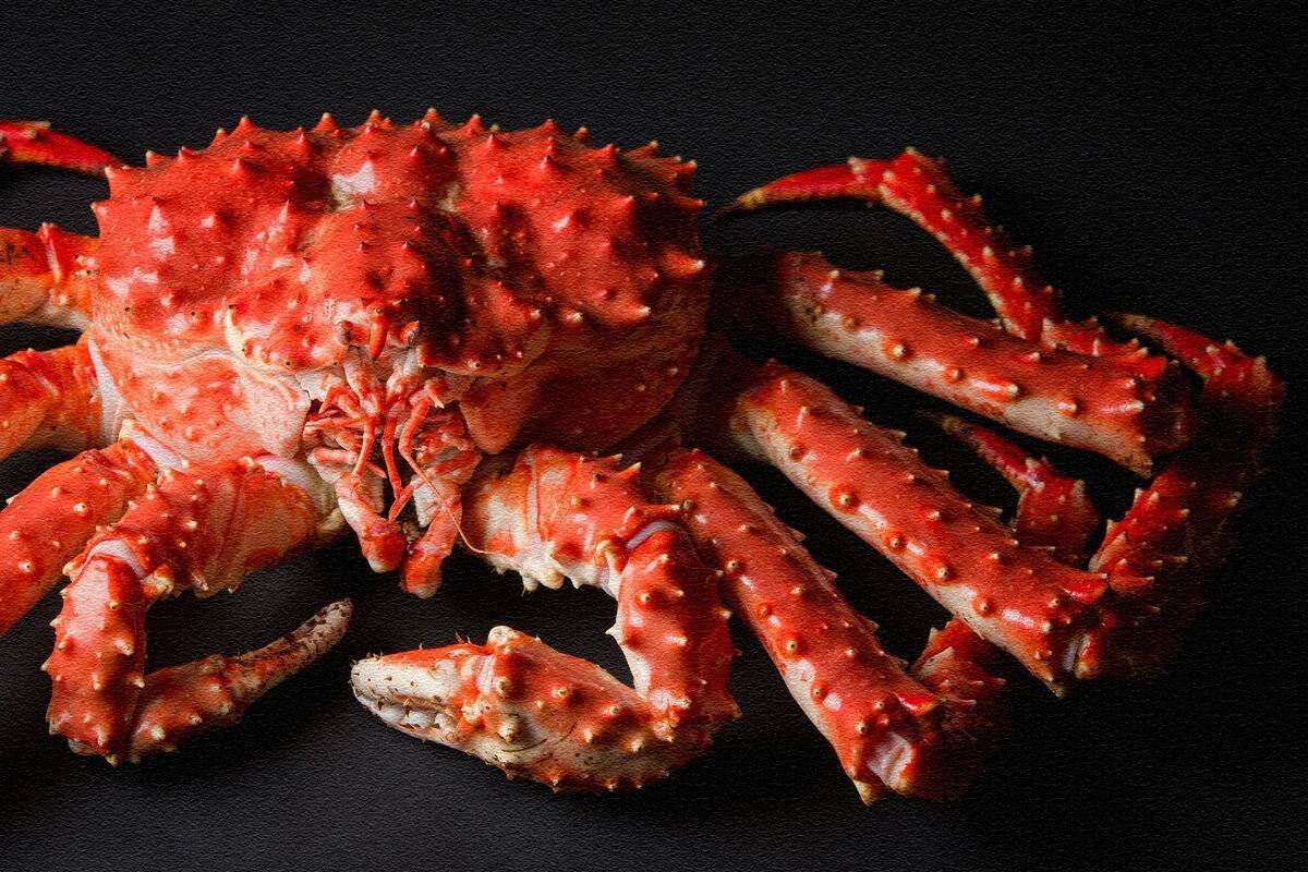 Дальневосточный краб-Хелице