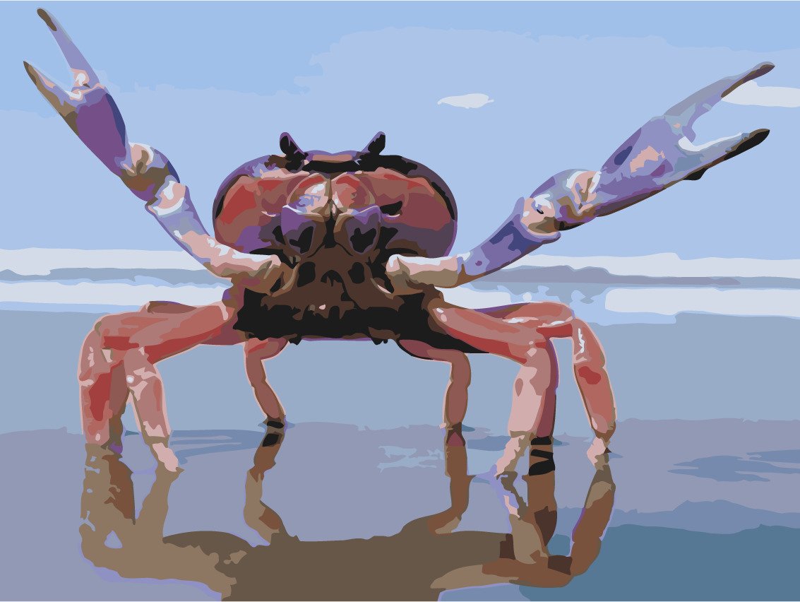 Краб ракообразные