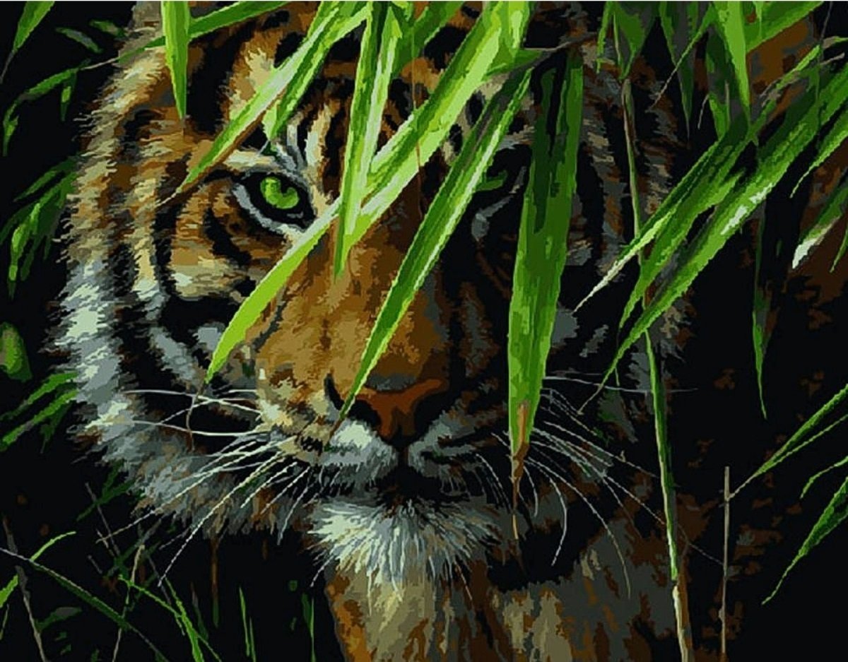 Коллин Богл картины