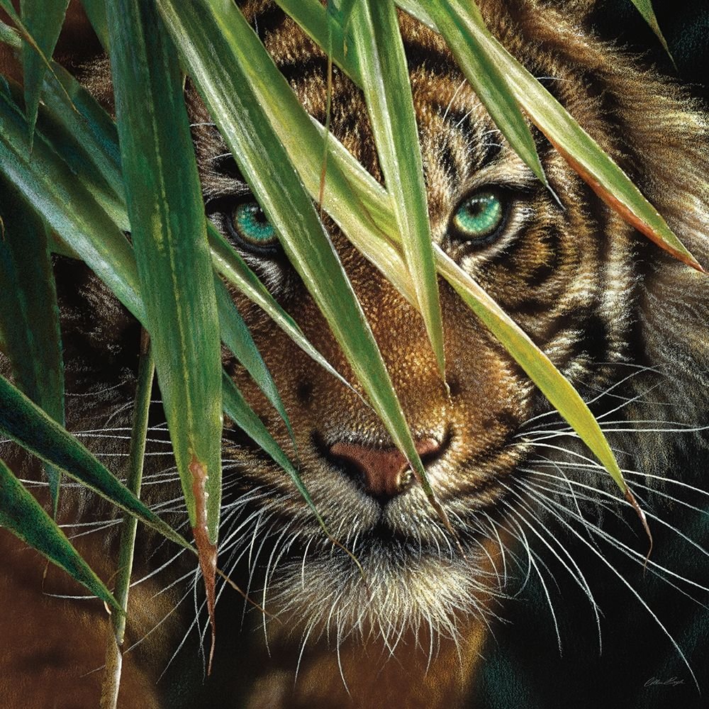 Коллин Богл картины