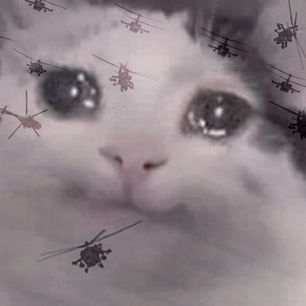 Плачущий кот