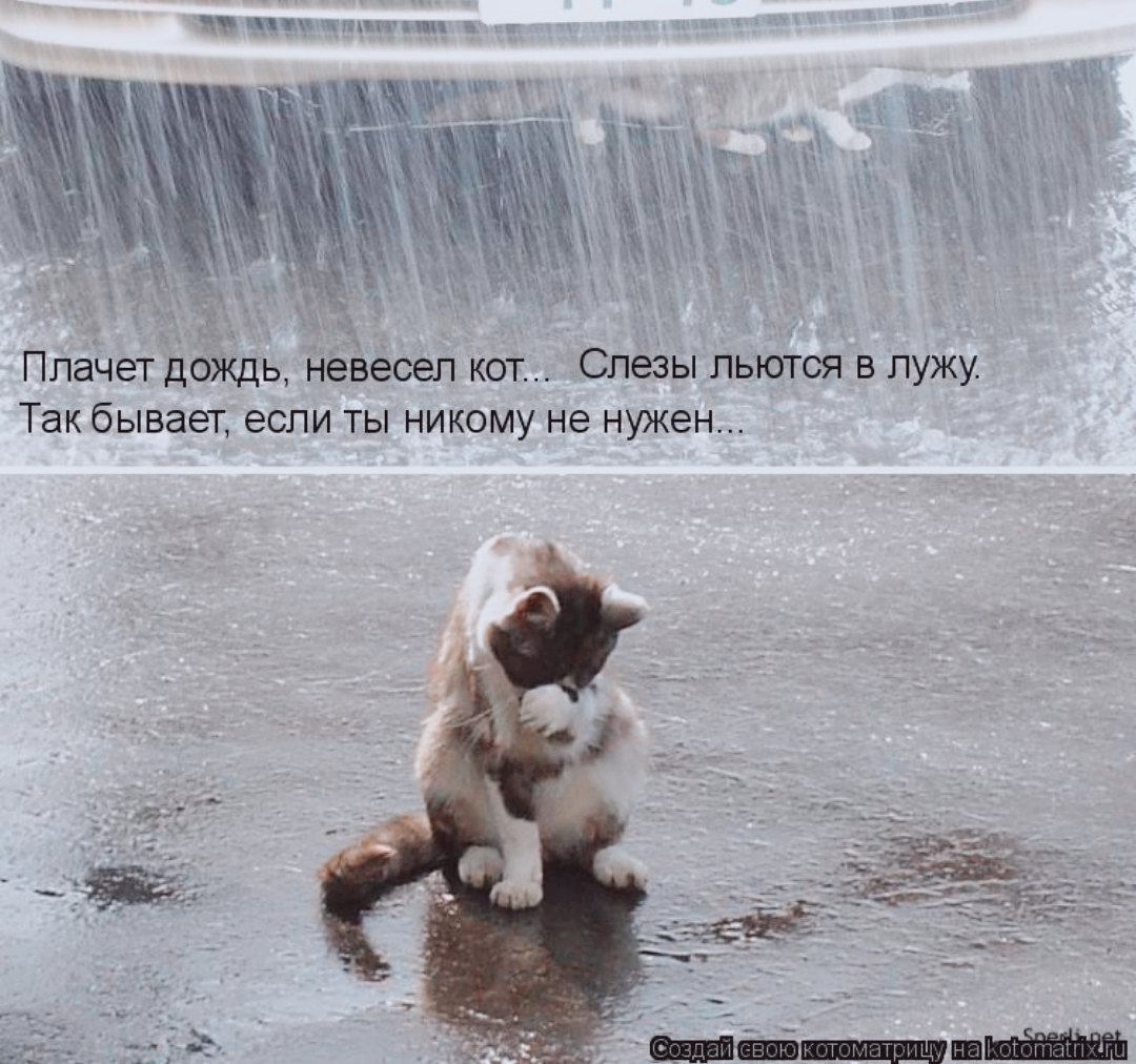 Фразы про дождь и настроение