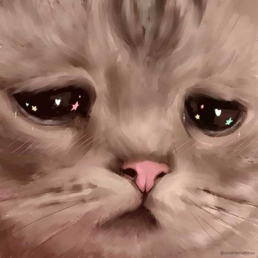 Cat crying милый