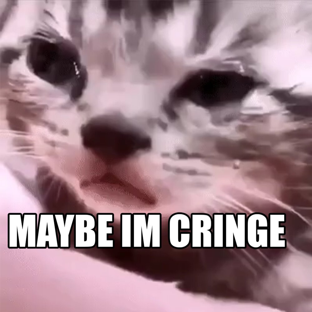 Грустный котик