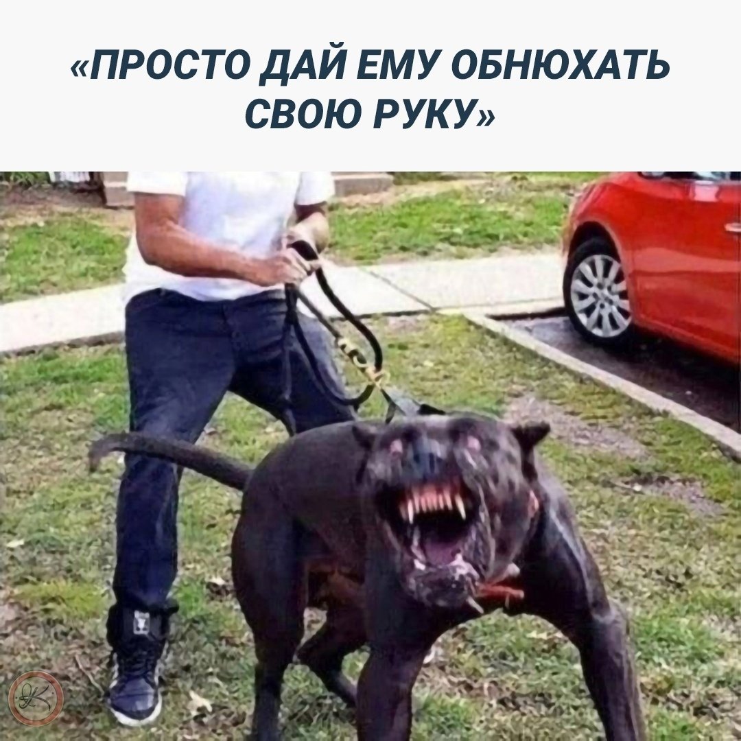 Большие собаки злые