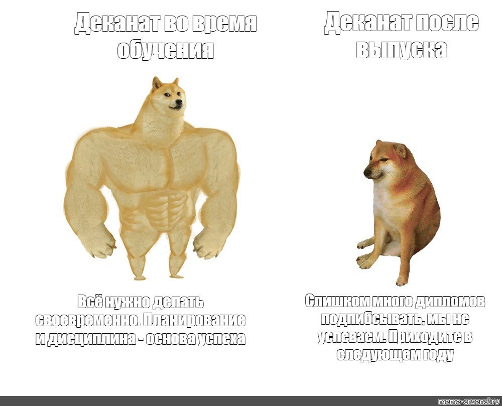 Сильная собака слабая собака