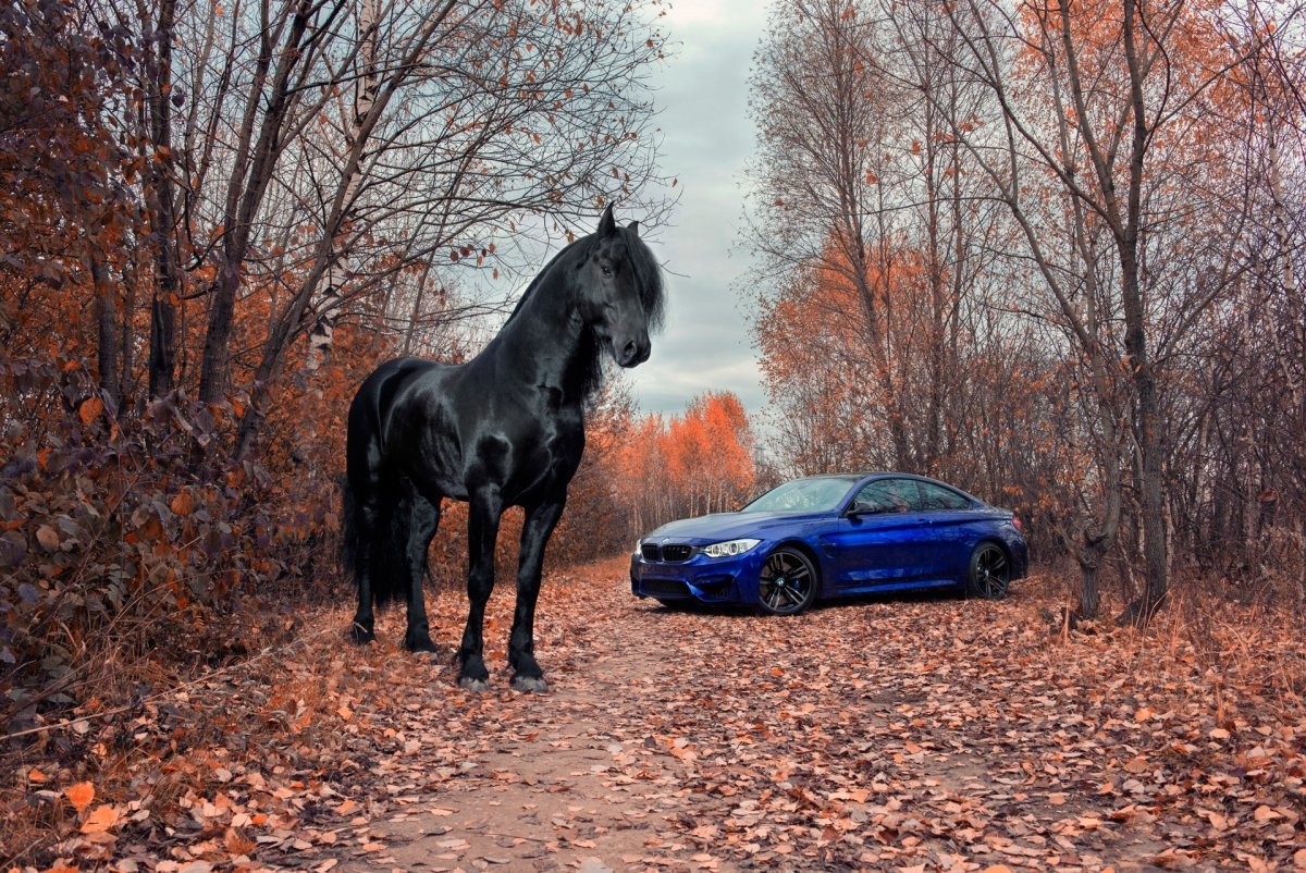 Машина с лошадью