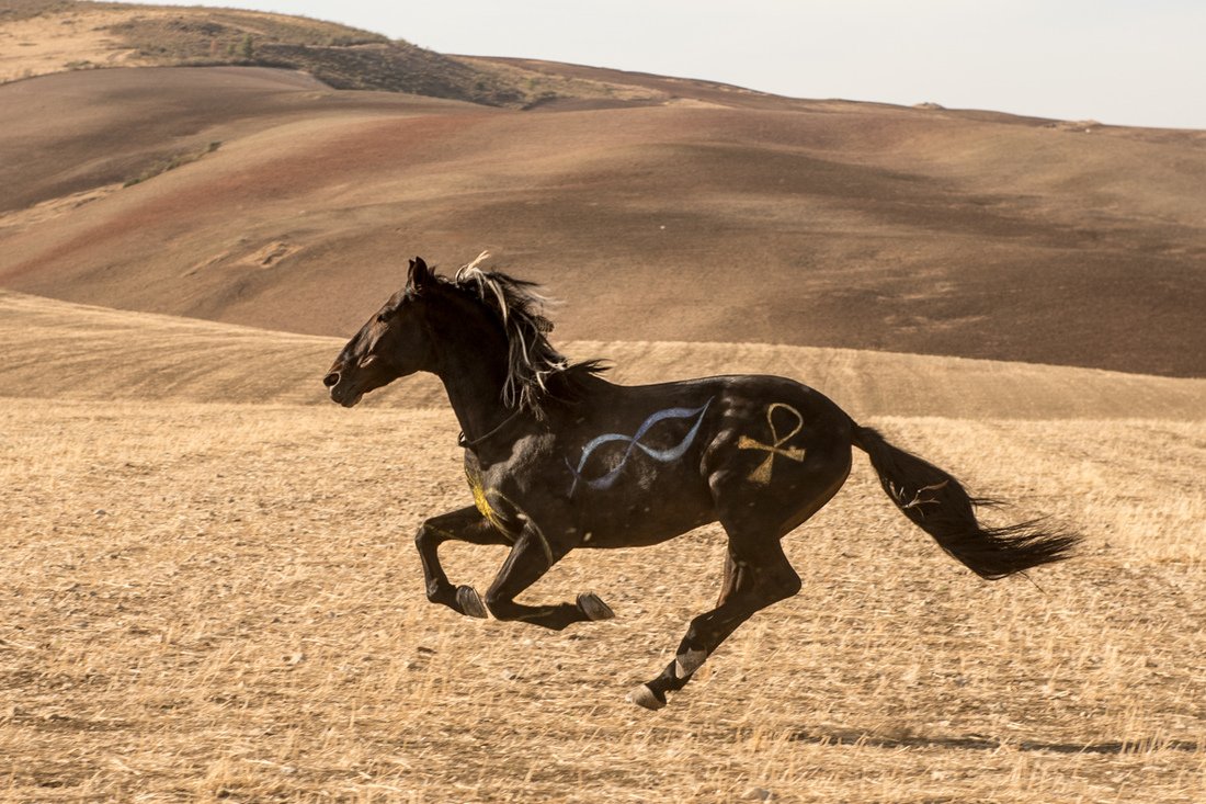 Оствинд наследие оры