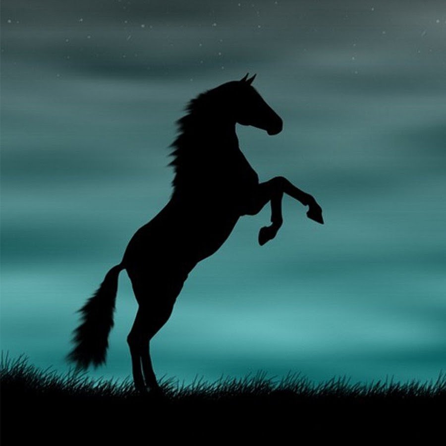 Лошадь на темном фоне