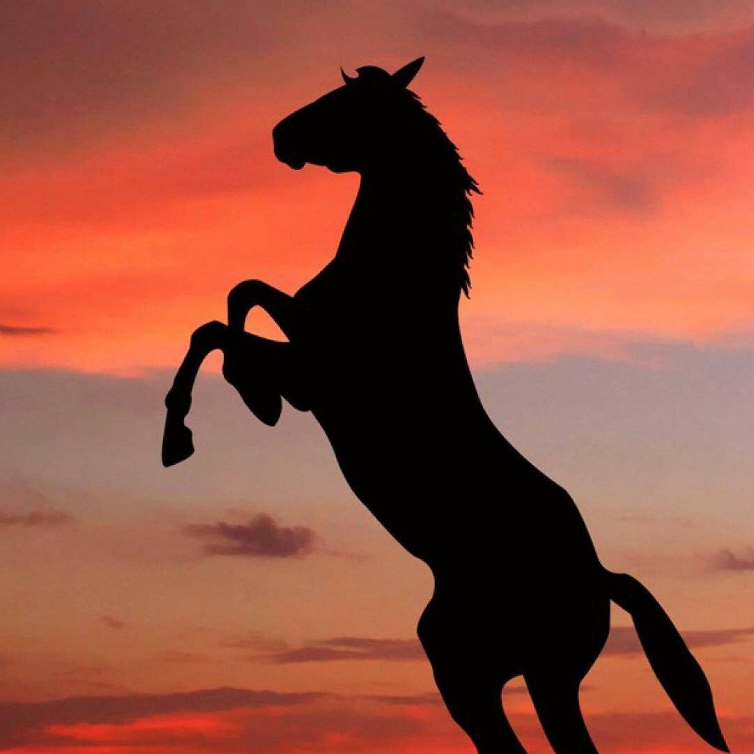 Лошадь на дыбы